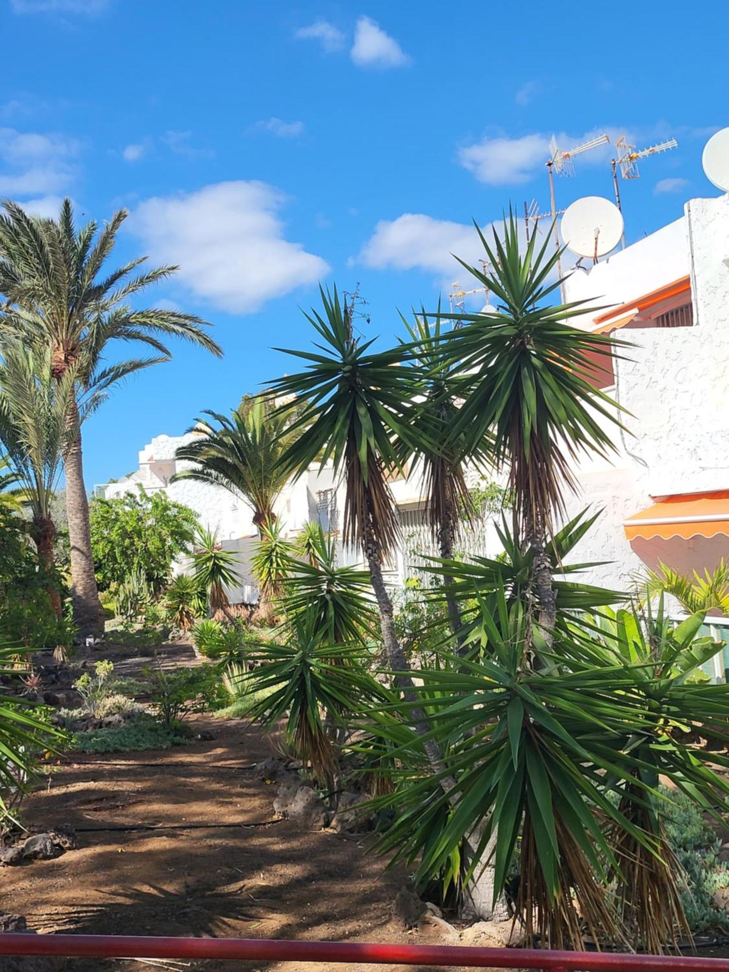 Apartamento Casa Iry Costa del Silencio Exterior foto